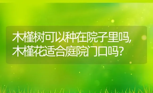 里白是什么植物,做生日蛋糕的白色奶油有哪几种？ | 养殖科普