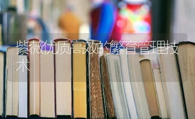 紫薇优质高效的繁育管理技术 | 养殖知识