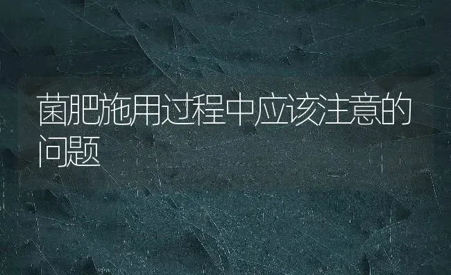 菌肥施用过程中应该注意的问题 | 养殖技术大全