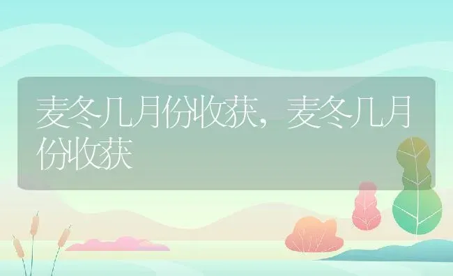 麦冬几月份收获,麦冬几月份收获 | 养殖科普