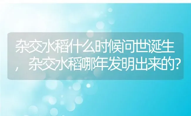 杂交水稻什么时候问世诞生,杂交水稻哪年发明出来的？ | 养殖科普