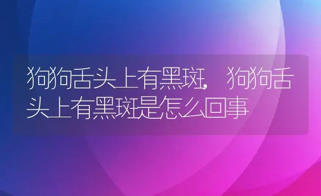 狗狗舌头上有黑斑,狗狗舌头上有黑斑是怎么回事 | 养殖资料