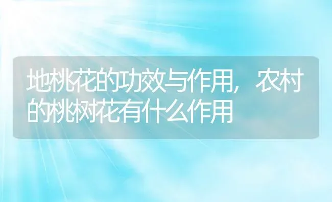 地桃花的功效与作用,农村的桃树花有什么作用 | 养殖学堂