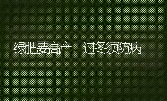 绿肥要高产　过冬须防病 | 养殖知识