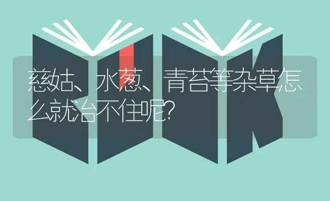 慈姑、水葱、青苔等杂草怎么就治不住呢? | 养殖技术大全