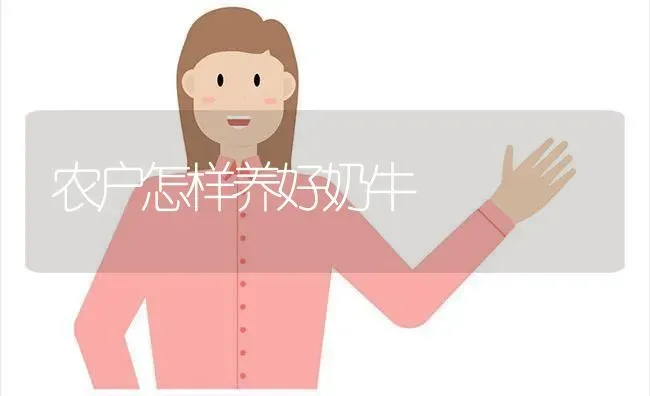 农户怎样养好奶牛 | 养殖知识