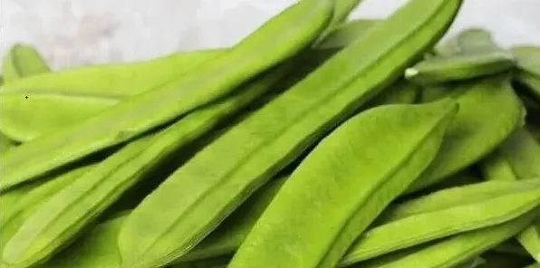 刀豆高效种植管理技术要点 | 实用知识