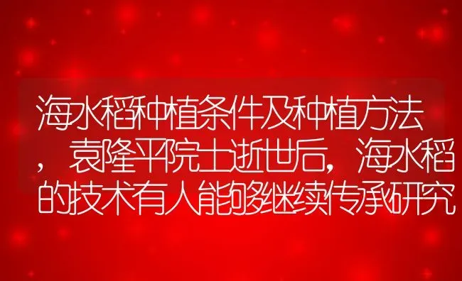 海水稻种植条件及种植方法,袁隆平院士逝世后，海水稻的技术有人能够继续传承研究吗 | 养殖学堂