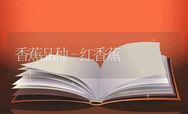 香蕉品种－红香蕉 | 养殖知识