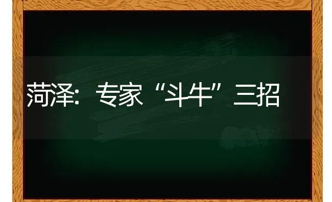 菏泽:专家“斗牛”三招 | 养殖技术大全