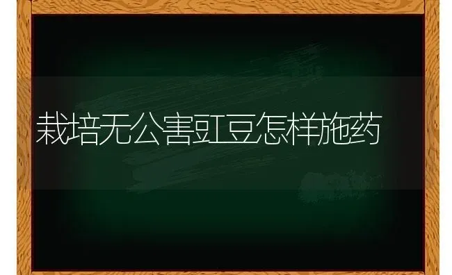 栽培无公害豇豆怎样施药 | 养殖技术大全