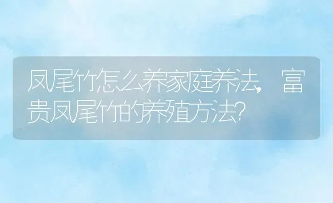 凤尾竹怎么养家庭养法,富贵凤尾竹的养殖方法？ | 养殖学堂
