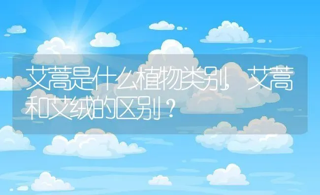 铁观音哪里产的最好,铁观音茶叶哪里产的好？ | 养殖科普