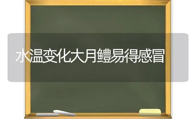 水温变化大月鳢易得感冒 | 养殖知识