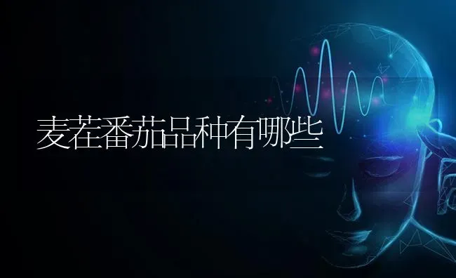 麦茬番茄品种有哪些 | 养殖知识