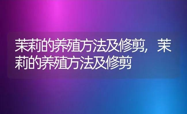 茉莉的养殖方法及修剪,茉莉的养殖方法及修剪 | 养殖科普