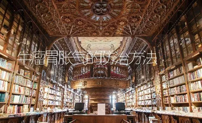 牛瘤胃胀气的防治方法 | 养殖知识