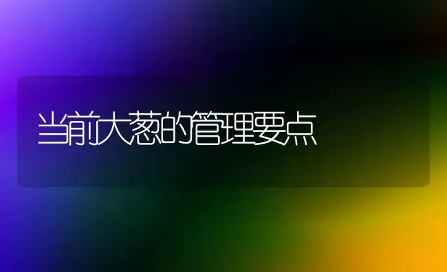 当前大葱的管理要点 | 养殖知识