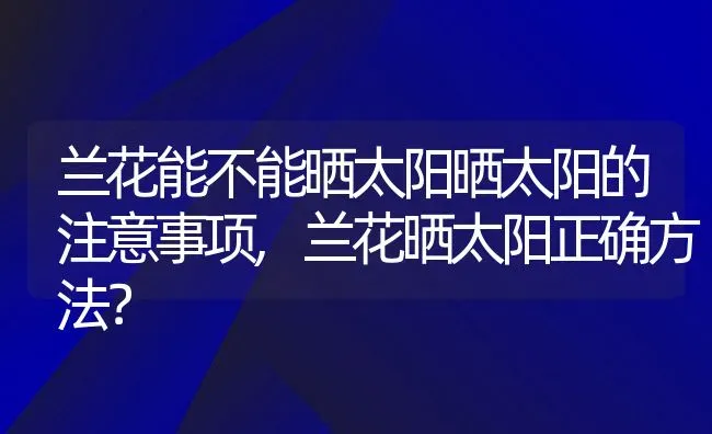 兰花能不能晒太阳晒太阳的注意事项,兰花晒太阳正确方法？ | 养殖科普