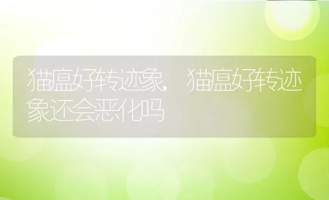 猫瘟好转迹象,猫瘟好转迹象还会恶化吗 | 养殖资料