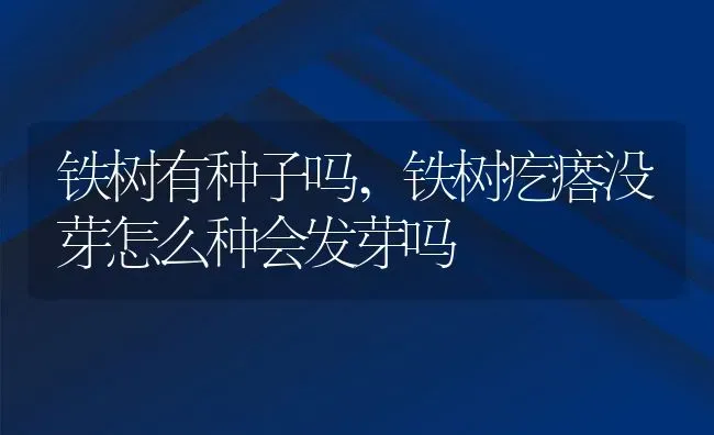 铁树有种子吗,铁树疙瘩没芽怎么种会发芽吗 | 养殖学堂