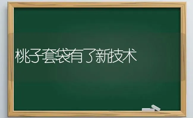 桃子套袋有了新技术 | 养殖知识