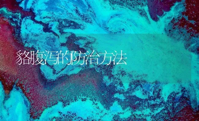 貉腹泻的防治方法 | 养殖知识