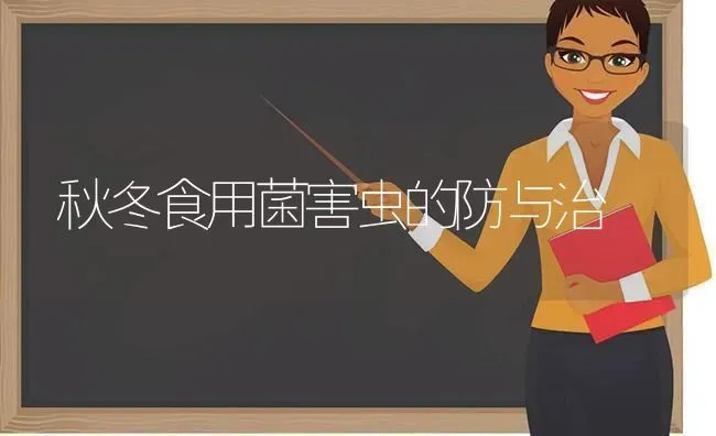 秋冬食用菌害虫的防与治 | 养殖知识