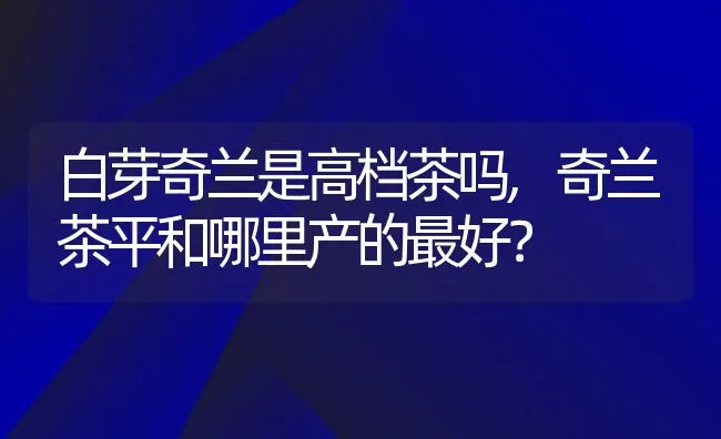 白芽奇兰是高档茶吗,奇兰茶平和哪里产的最好？ | 养殖学堂
