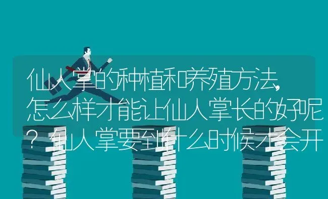 仙人掌的种植和养殖方法,怎么样才能让仙人掌长的好呢？仙人掌要到什么时候才会开花 | 养殖学堂