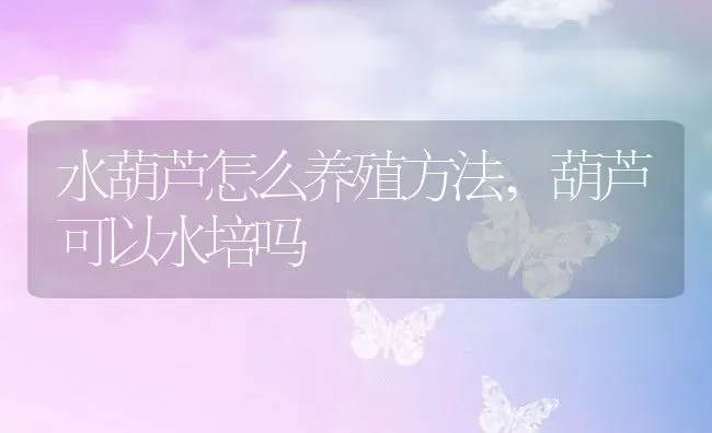 水葫芦怎么养殖方法,葫芦可以水培吗 | 养殖学堂