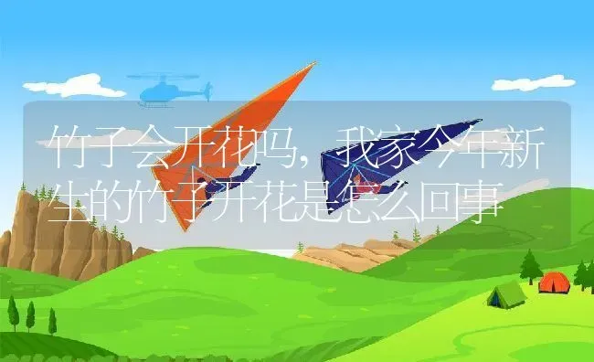 竹子会开花吗,我家今年新生的竹子开花是怎么回事 | 养殖学堂