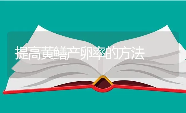 提高黄鳝产卵率的方法 | 养殖知识