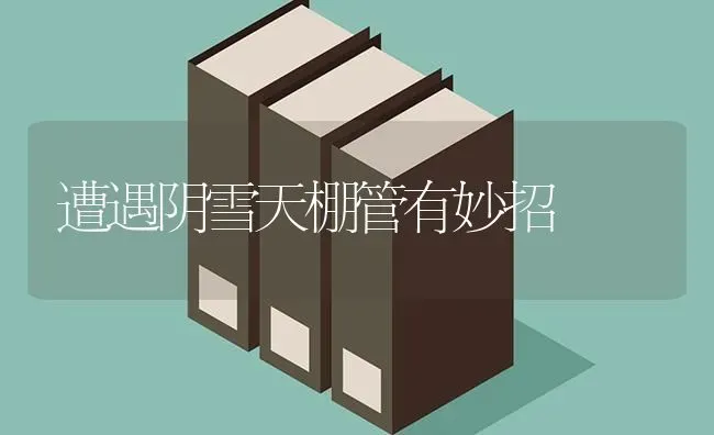 遭遇阴雪天棚管有妙招 | 养殖知识