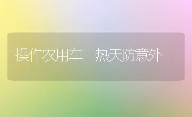 操作农用车 热天防意外 | 养殖知识