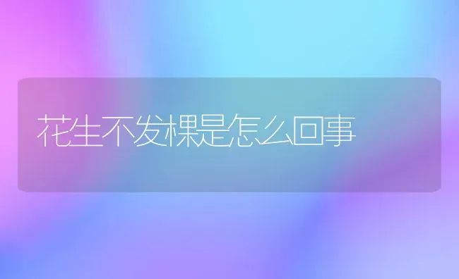 花生不发棵是怎么回事 | 养殖知识