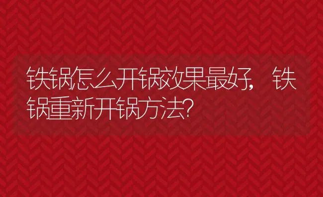 铁锅怎么开锅效果最好,铁锅重新开锅方法？ | 养殖科普