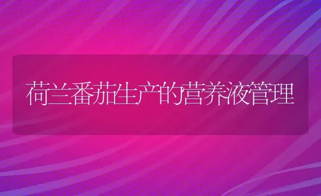 荷兰番茄生产的营养液管理 | 养殖技术大全