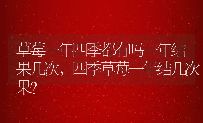草莓一年四季都有吗一年结果几次,四季草莓一年结几次果？ | 养殖科普
