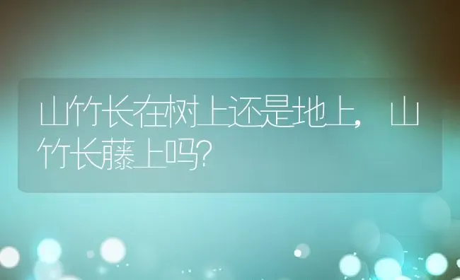 山竹长在树上还是地上,山竹长藤上吗？ | 养殖科普