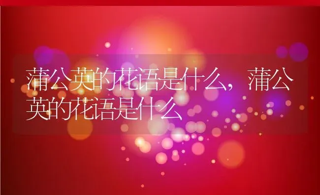 蒲公英的花语是什么,蒲公英的花语是什么 | 养殖科普