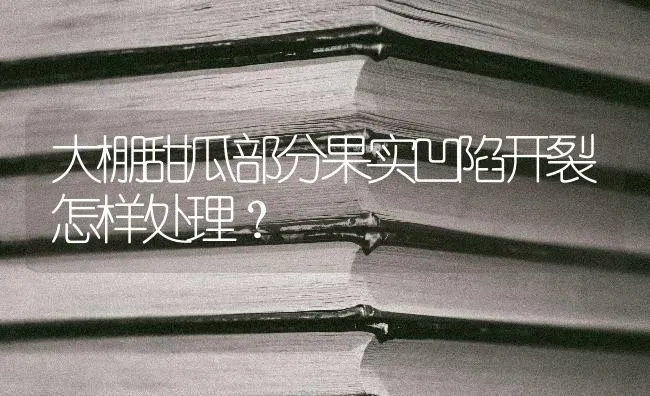 蜜蜂养殖蜂群转地饲养技巧 | 养殖技术大全