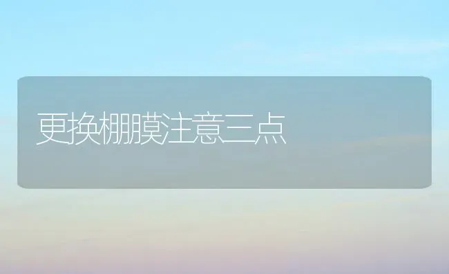 更换棚膜注意三点 | 养殖知识