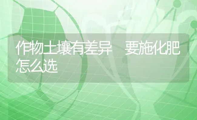 作物土壤有差异　要施化肥怎么选 | 养殖技术大全