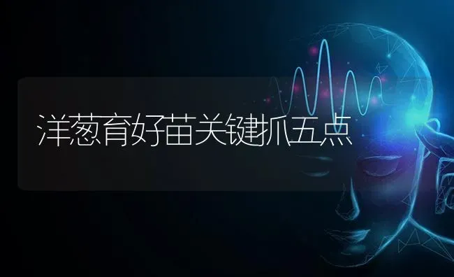 洋葱育好苗关键抓五点 | 养殖技术大全