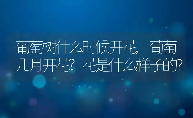葡萄树什么时候开花,葡萄几月开花?花是什么样子的？ | 养殖科普