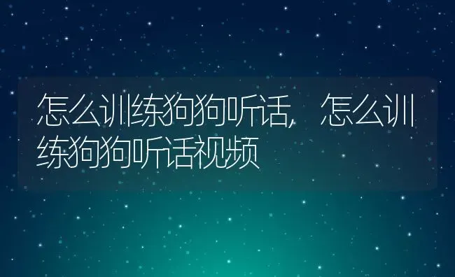 怎么训练狗狗听话,怎么训练狗狗听话视频 | 养殖科普