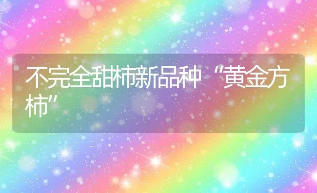 不完全甜柿新品种“黄金方柿” | 养殖知识