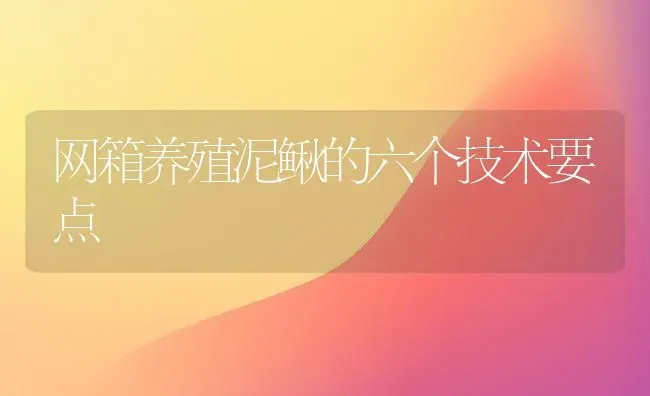 网箱养殖泥鳅的六个技术要点 | 养殖知识