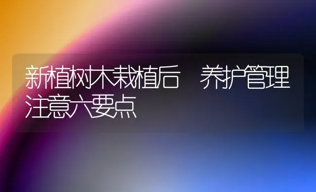 新植树木栽植后　养护管理注意六要点 | 养殖技术大全